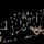 TAM - HOLLYWOOD LOCAL logo