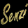 CZ - SENZI logo