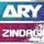 [PAK] ARY ZINDAGI logo