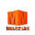 [IN] MULTIPLEX MOVIES logo