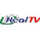 AZ - REAL TV logo