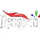 [ASM] RENGONI logo