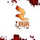 ALB - TV ZJARR logo
