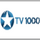 [RUS] VIASAT TV1000 RUSSKOEKINO logo