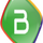 [BOL] BOLIVIA TV logo
