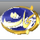 [IR] NEJAT FARSI logo