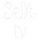 UGA - SALT TV logo