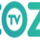 USA - COZI TV HD logo