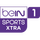 BEIN SPORTS XTRA 1 4K logo