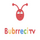 ALB - BUBRRECI TV UHD logo