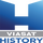 [BG] VIASAT HISTORY logo